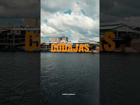 CODAJÁS - AMAZONAS - TERRA DO AÇAÍ #amazônia #amazonas #cop30 #manaus #codajas #barco #pesca #rio