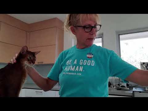 Crystal the Pet Nanny. LLC video.