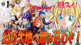 【ドラクエ6/SFC】遂に幻の大地に踏み込むぞ！いったいどんな物語が待ち受けているのか？#1　#ドラゴンクエスト6