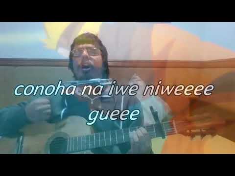 Corxea champuru Blue Bird (REMASTERED EDITION)