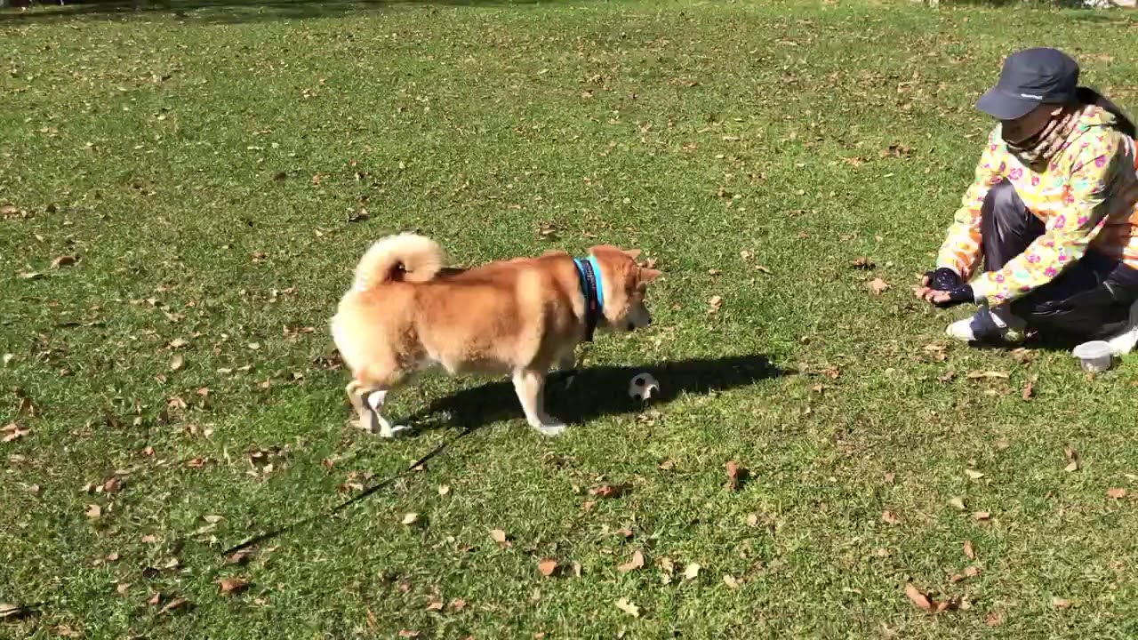 ママとキャッチボールは楽しいね