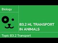 B3.2 HL Transport in Animals Timestamps | IB Biology HL Chapter Guide