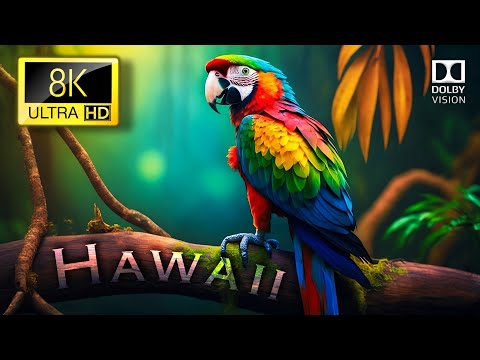HAWAII in 8K Ultra HD [60FPS] Dolby Vision | Hawaii 8K HDR