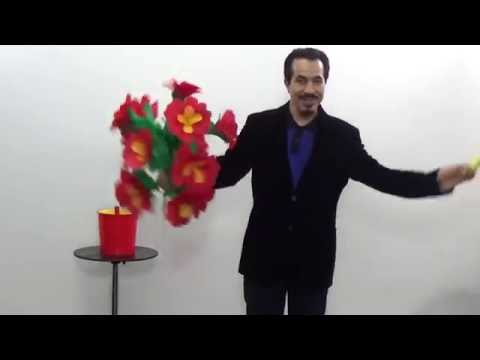 Ati Flower Vase - (The Biggest Sleeve Bouquet)