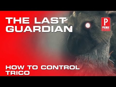 The Last Guardian - How to Control Trico