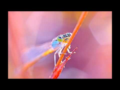 Wochenorakel für die Woche vom 21. bis 27. September 2015