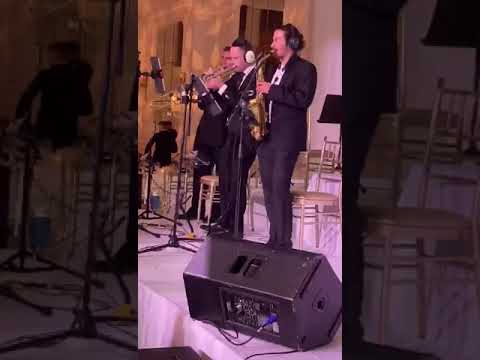 Freilach Band Levy Falkowitz