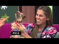 Natalia Ospina Diseñadora Trajo Sus Perros Y Mostró La Moda Para Ellos En Esta Navidad