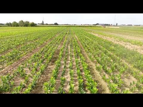 Vereecke / Decleene NV - overzicht partij 6