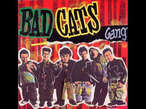 BAD CATS GANG-gregory.wmv