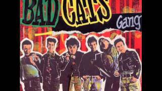 BAD CATS GANG-gregory.wmv