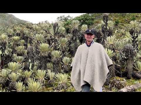 Güicán de la Sierra en el Proyecto Páramos para la Vida