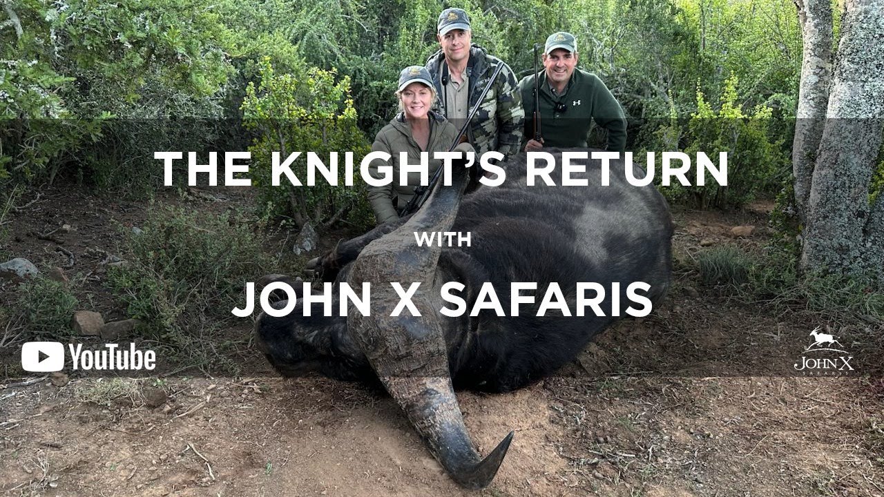 The Knight’s Return | John X Safaris
