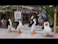 Madagascar Boogie