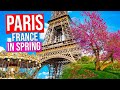 PARIS FRANCE City Tour Spring Paris In Springtime