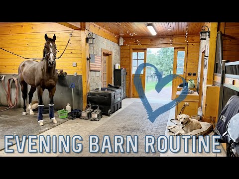 EVENING BARN ROUTINE | Fall 2022 • Feeding the Horses and Barn Chores on the Farm // EQUESTRIAN VLOG