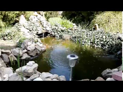 Kerti-tó.2016.04.02.