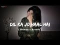 Dil Ka Jo Haal Hai Besharam Abhijeet Bhattacharya Shreya Ghoshal Slowed Reverb Lo Fi