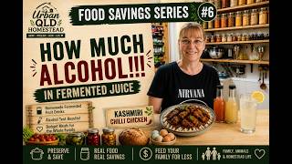 Sparkling Fruit Juice Drinks & Alcohol Test. Indian Dinners for under $2/serve, Kashmiri Chicken