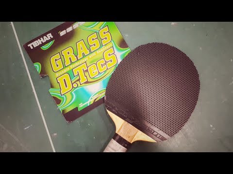 [TT] Tibhar Grass D.TecS - Immer noch ein Störfall?