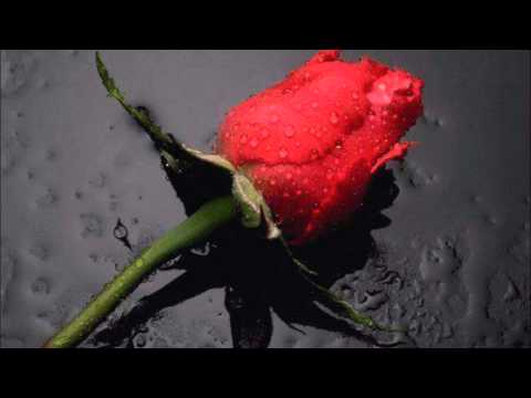 Zanega & Coby - Ljubavna