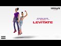 Mason Made Niswa Levitate Audio