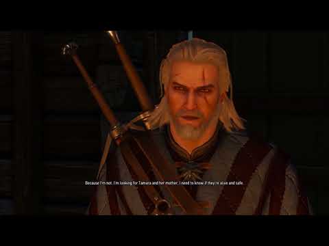 Let's Play The Witcher 3: Wild Hunt Blind Part 64