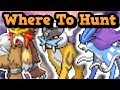Top 5 Spots To Hunt Entei Raikou Suicune In PokeMMO