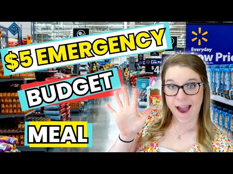 $5 DINNER MEAL | EMERGENCY BUDGET DINNER CHALLENGE | CHEAP DINNERS