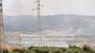 preview picture of video 'Incendio doloso a Sambuca di Sicilia in località Lago Arancio 2014'