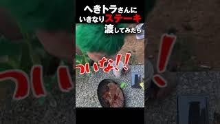 いきなりステーキを渡されたら人はどんな反応をするのか？