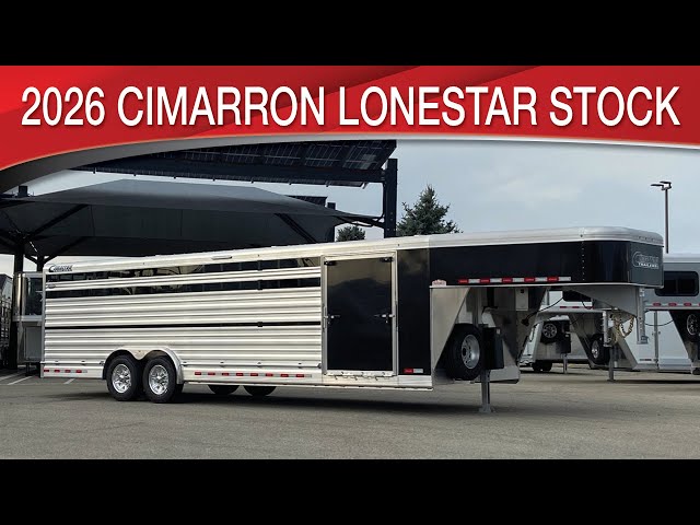 Preview image of the linked video