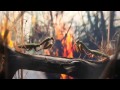 BOWERBIRDS - IN OUR TALONS
