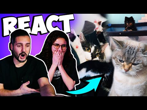 NICHT "AWWW" SAGEN CHALLENGE 2.0 Dania & Kaan schauen wieder süße Tierfotos an & verlieren