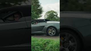 Helge Schneider - reingefallen bei Autowerbung #helgeschneider #helge #katzenklo