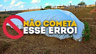 COMETI UM ERRO NO MEU SILO SUPERFÍCIE! CUIDADO!