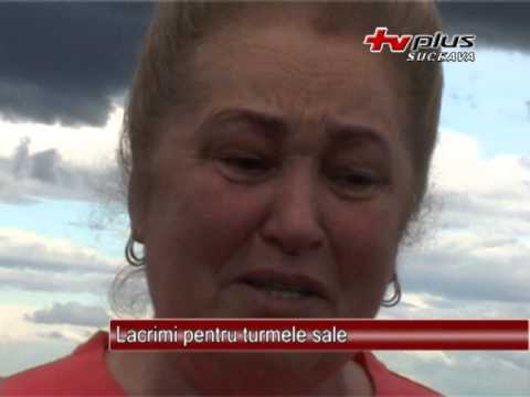 Lacrimi pentru turmele sale 28.05.2013