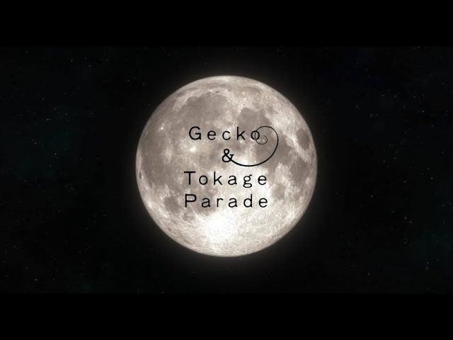 Moon / Gecko & Tokage Parade