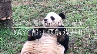 preview picture of video '四川成都都江堰熊貓樂園- 海洋公園四川臥龍熊貓旅DAY1'