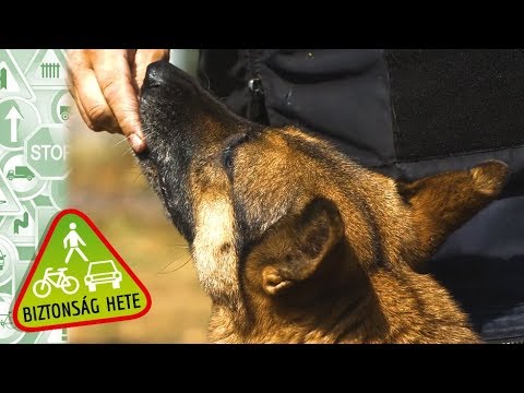 Biztonság Hete 2018 - szeptember 19., Debrecen