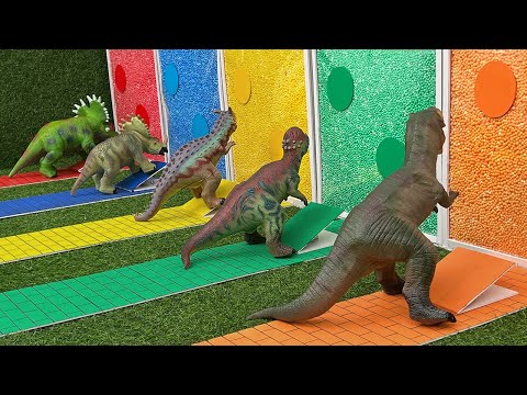 Learn Dinosaurs Names for Kids With Color Balls | Tyrannosaurus Rex | Carnotaurus | Sinoceratops |