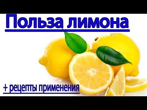 Польза лимона. Чем полезен лимон для организма и полезные рецепты