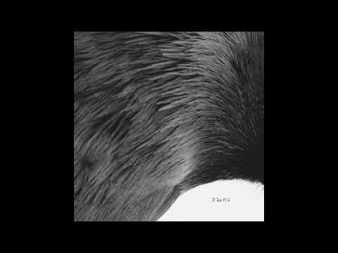 AVCI & Burakcan Yilmaz - Fackel (Original Mix) [TRM201]