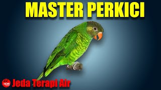 Download lagu MASTER PERKICI Jeda Terapi Air AMPUH mp3 Download lagu MASTER PERKICI Jeda Terapi Air AMPUH mp3