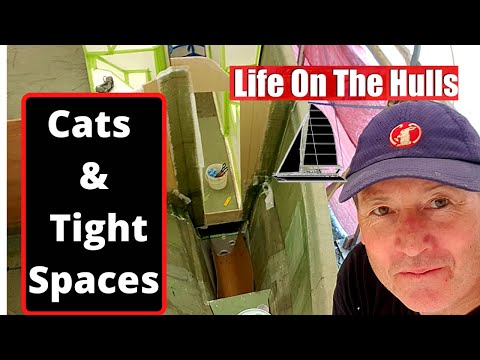 Ep114 It's a bit tight in here - Life On The Hulls - How to build a Catamaran