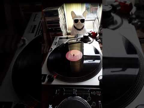 oxygen ft andrea Britton. am I on yr mind