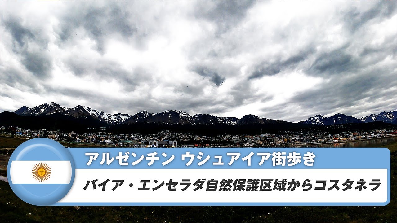 【アルゼンチン】ウシュアイア③バイア・エンセラダ自然保護区域からコスタネラ