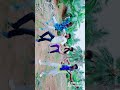 Kpm Nirmal Dance