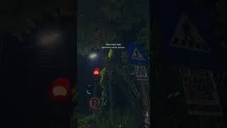 Download lagu STORY WA 30 DETIK TERBARU || TEMENKU SETAN SEMUA:) mp3