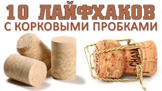 Пробка от шампанского для рыбалки